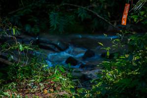 BIB: 
                            <button type="button" onclick="openModal(19306147)" class="btn btn-primary btn-sm float-right btn-popup" data-toggle="modal" data-target=".modal-high-quality">
                        <i class="fas fa-shopping-cart"></i> Add to Cart
                    </button>
                                            <button type="button" onclick="isThisMe(19306147, true)" class="btn btn-success btn-sm float-right btn-popup btn-isme hidden" data-toggle="tooltip" data-placement="bottom" title="นี่คือรูปของคุณใช่ไหม คลิกที่นี่เพื่อเอาเข้าอัลบั้ม">
                        <i class="fas fa-plus"></i> Add to album
                    </button>
                    <button type="button" onclick="isThisMe(19306147, false)" class="btn btn-warning btn-sm float-right btn-popup btn-isnotme hidden">
                        <i class="fas fa-ban"></i> Remove from album
                    </button>